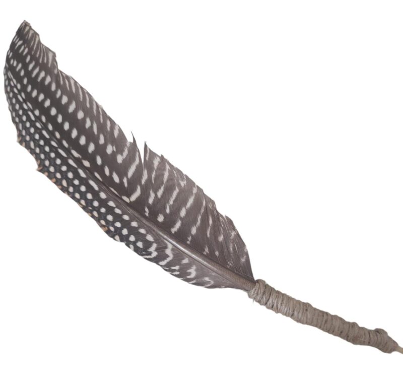 PENA DE GALINHA D'ANGOLA NATURAL PARA PERSONALIZAÇÃO