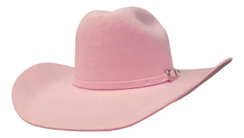CHAPEU COUNTRY PRALANA ARIZONA ROSA CLARO PP
