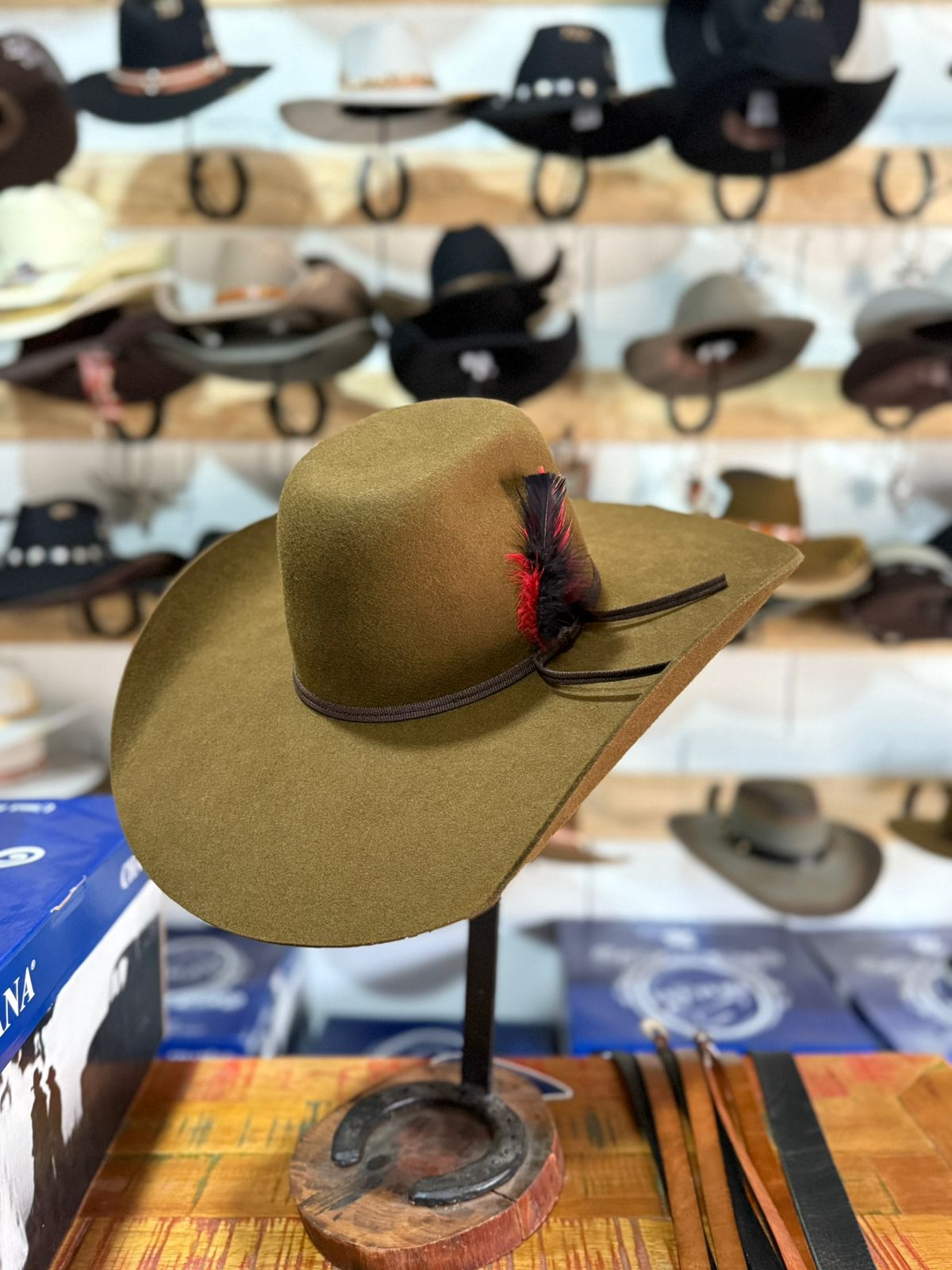 CHAPÉU PRALANA CHAMPION BIPLAY 2 CAFÉ 60