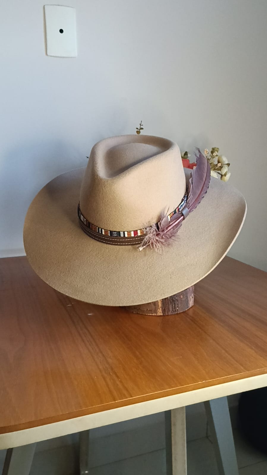 CHAPÉU PRALANA 5X COLORADO ABA 10 BEGE